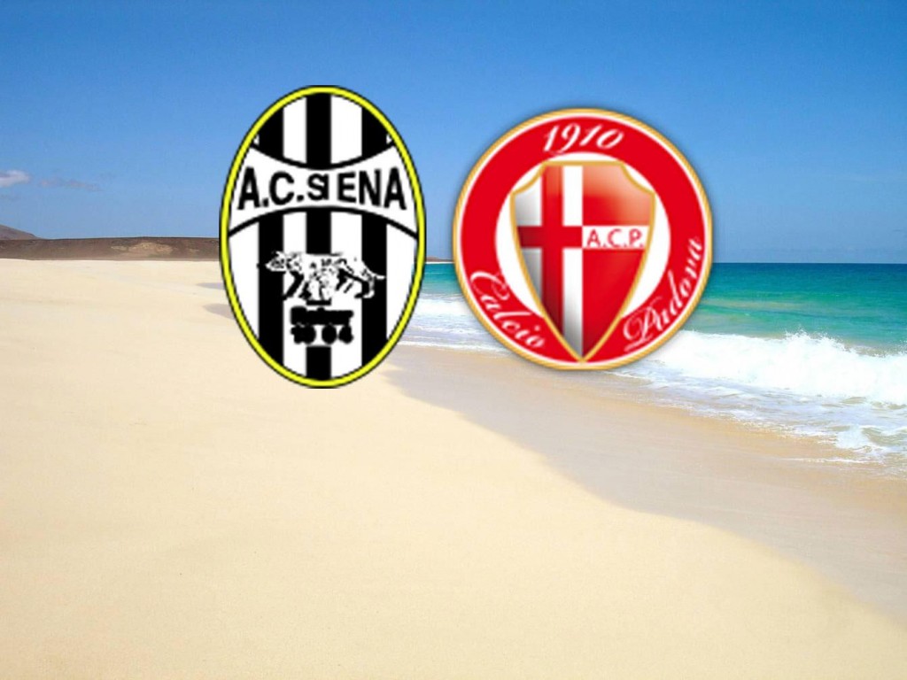 74b47fcb5f8aa27a8fcd9efd607ed42a-28989.jpeg