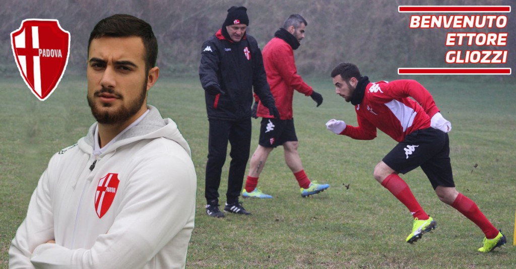 gliozzi