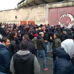 Tifosi