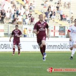 padova  livorno