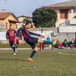 luparense