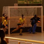 hockey