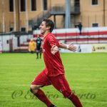 menesello-monselice