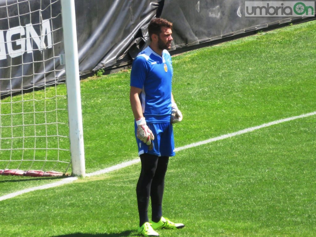 eddy-gava
