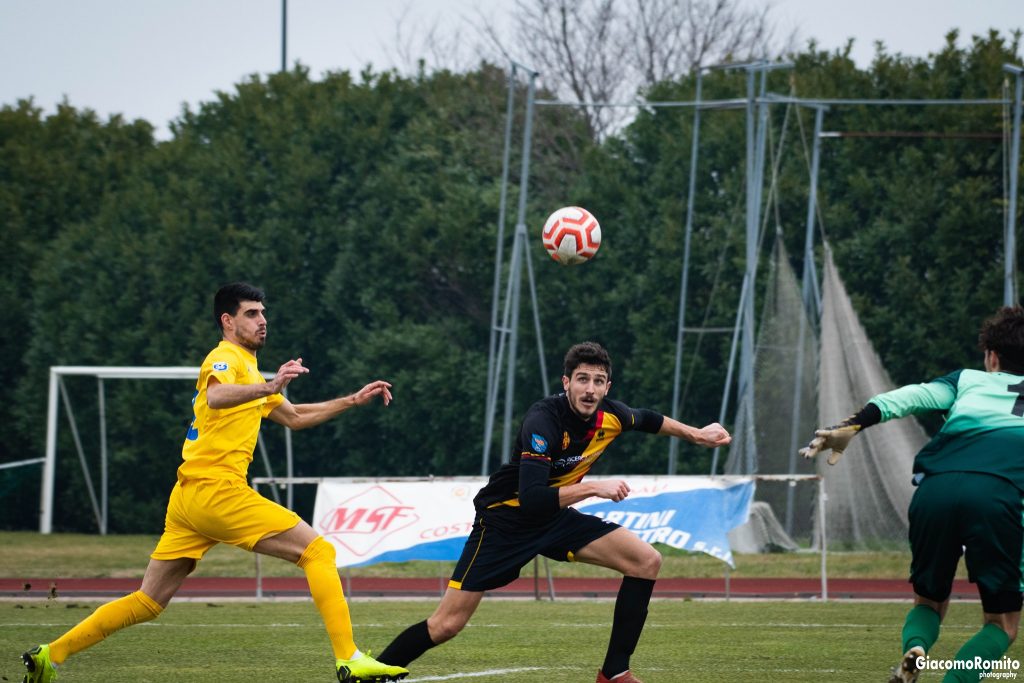 julian-cardellino