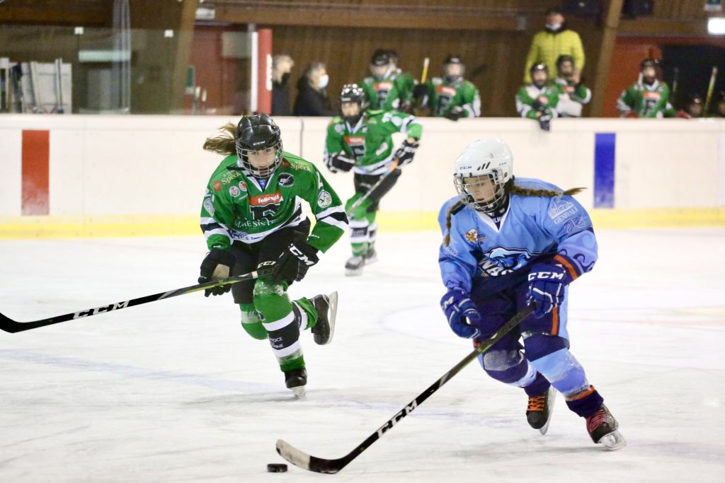 Hockey su ghiaccio