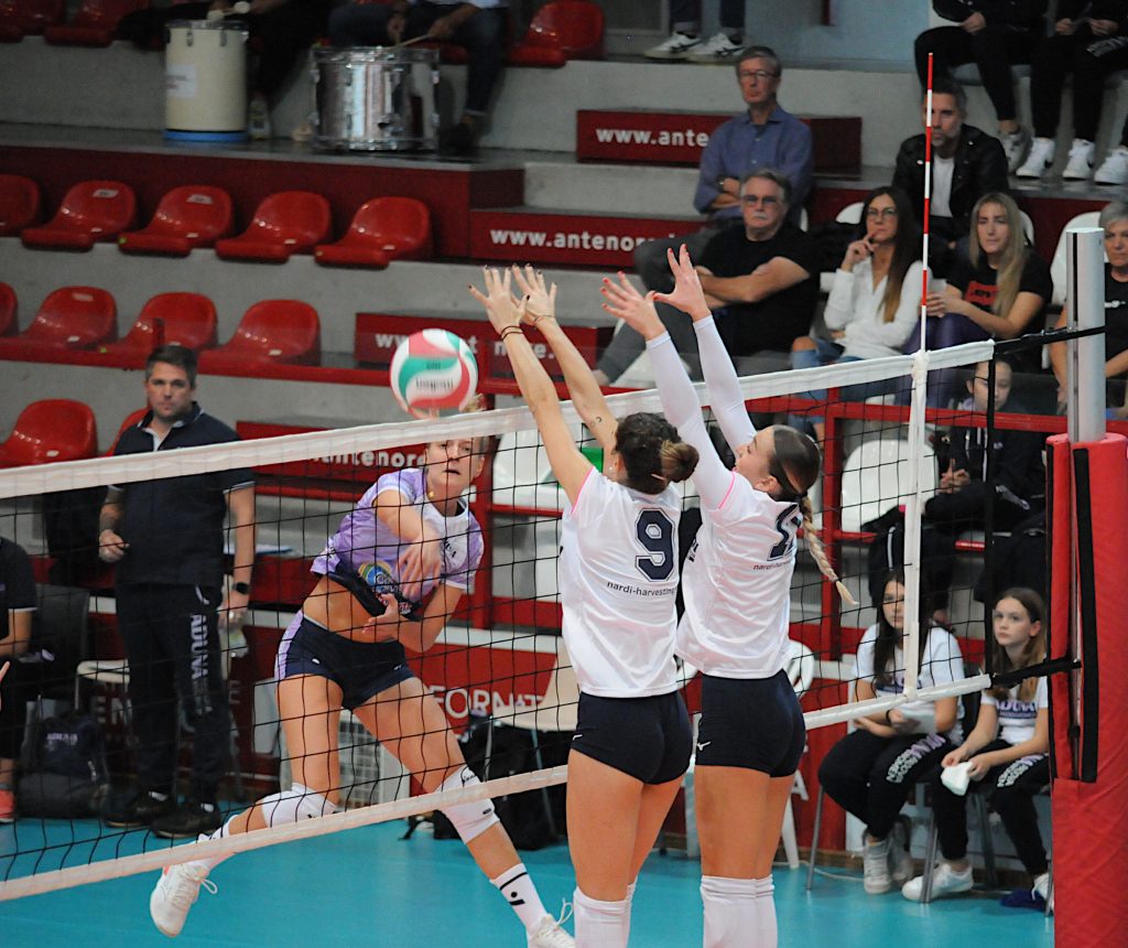 Pallavolo femminile