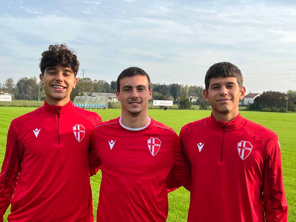 Toldo beccaro montrone