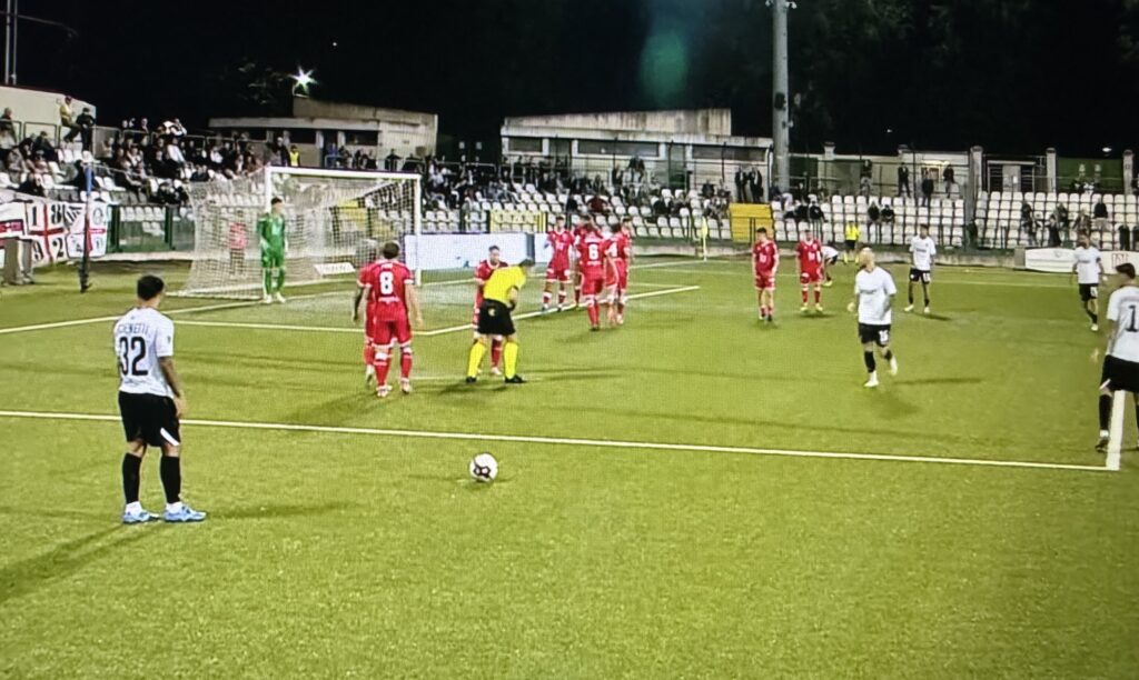 Pro Vercelli-Padova