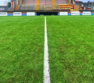 Campo sintetic