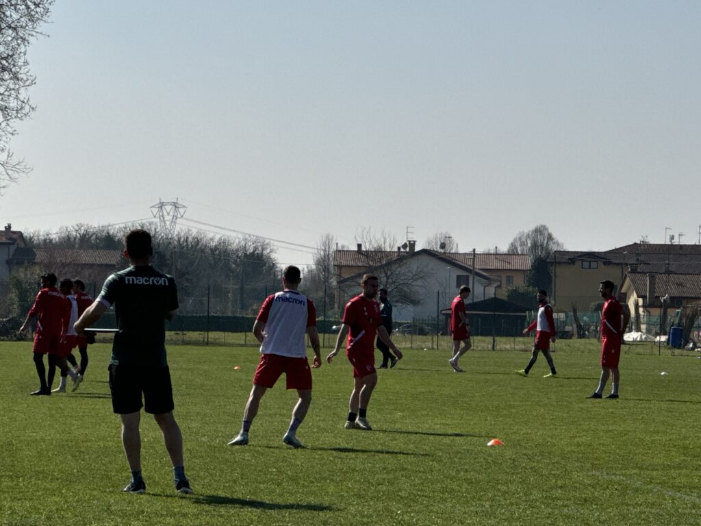 Padova Guizza