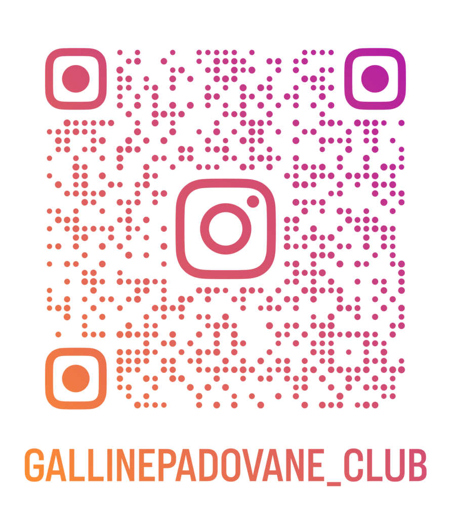 gallinepadovane_club_qr