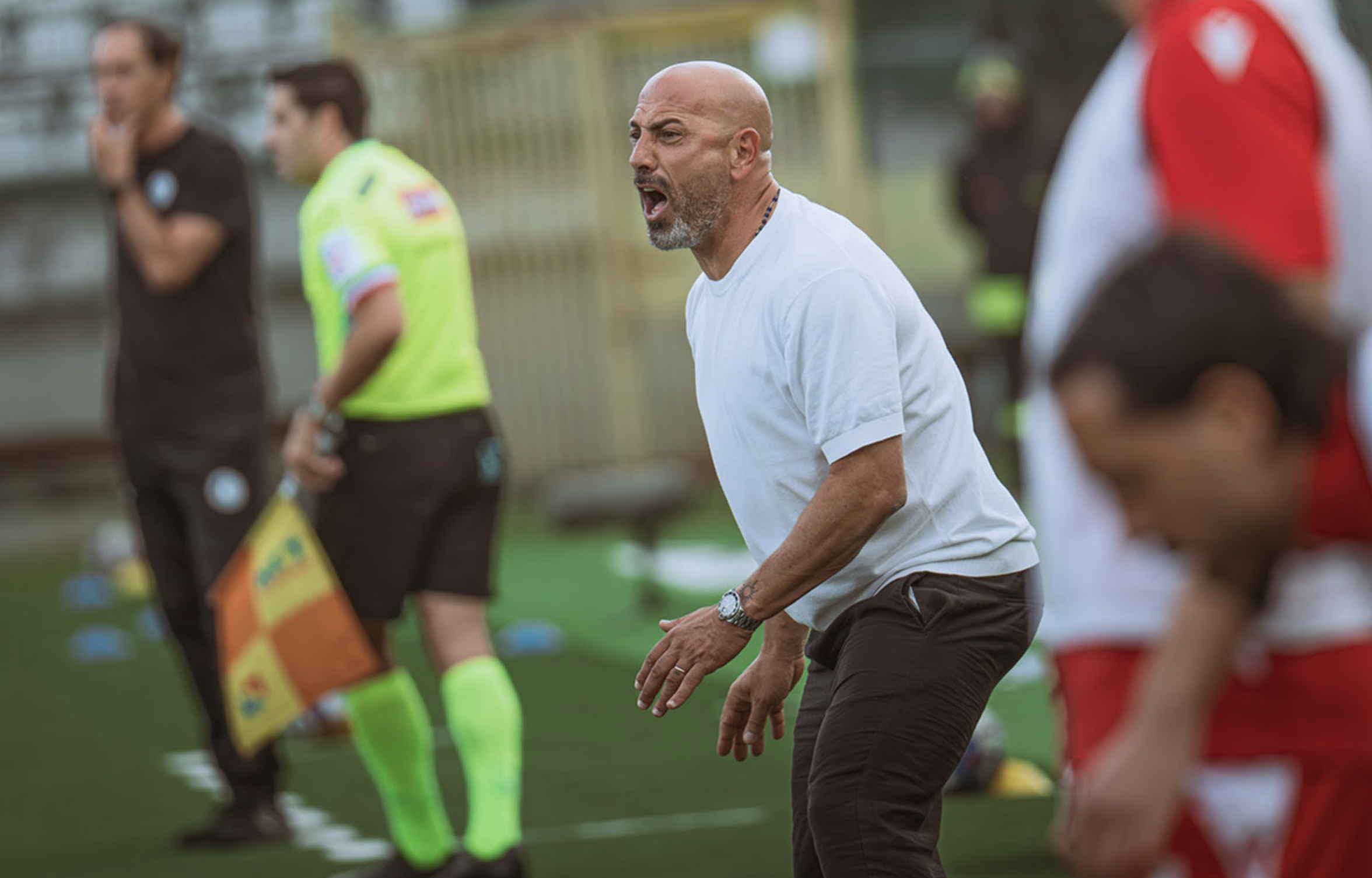 Padova Beats Südtirol 2-0 for Second Consecutive Win Under Calabro