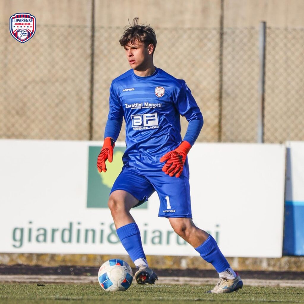 serie d